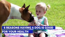 6 Reasons Having a Dog Is Good for Your Health