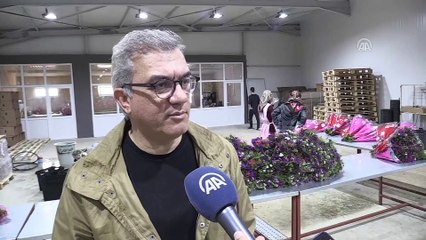 Çiçekte 'Sevgililer Günü' yoğunluğu - ANTALYA