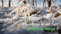 Pourquoi le sel fait fondre la neige ? ❄️