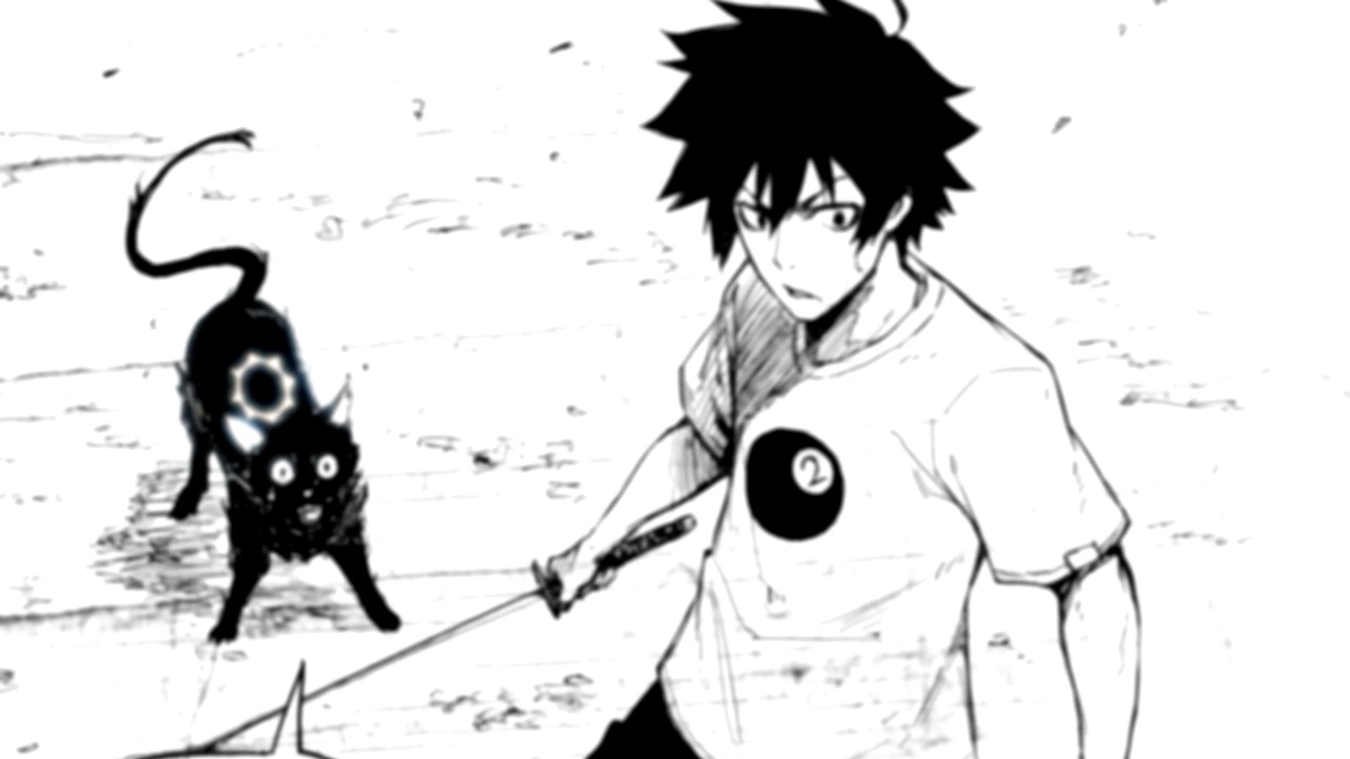 Découvrir 67+ imagen black torch manga fr.thptnganamst.edu.vn