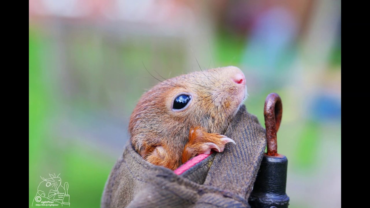 [neu] 2011 jahreszusammenfassung film