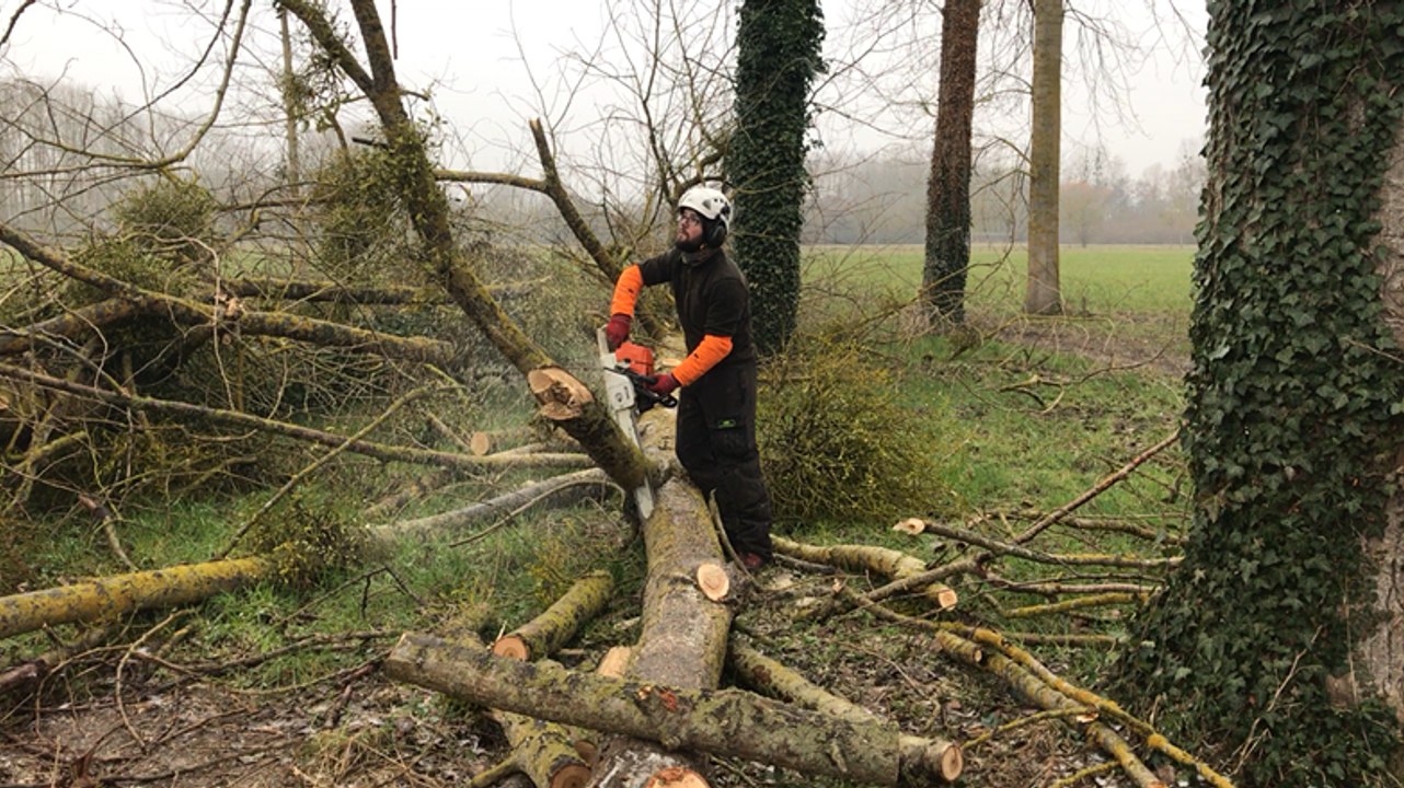 Tempêtes à Caen : 80 arbres de la voie verte tombés sont dégagés