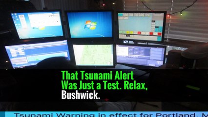 That Tsunami Alert Was Just a Test. Relax, Bushwick.