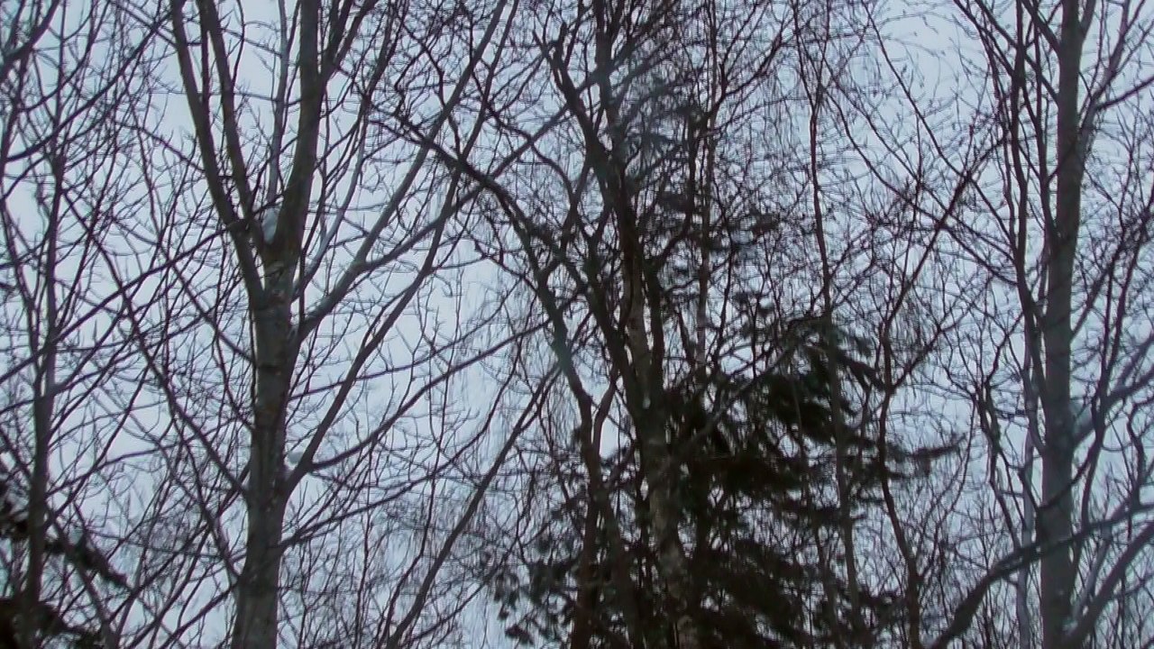 Feb 7 2018 DL1