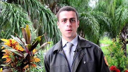 Relatos de uma Caravana - Cruzada pela Família