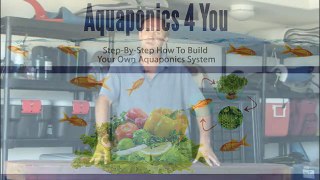 How To Build Your Own Garden Fish Pond & Waterfall | aquaponics | How to build a garden fish pond