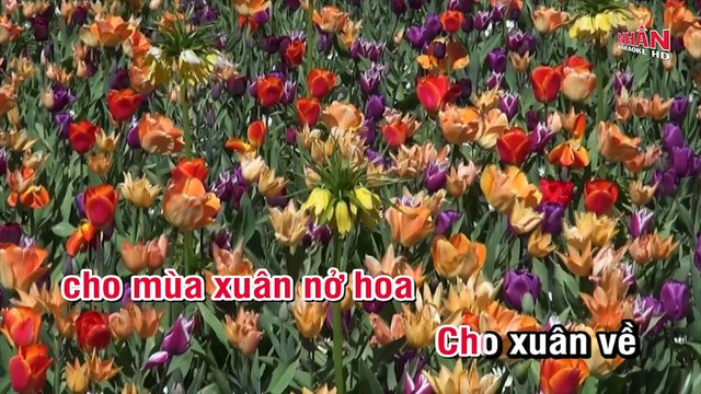 Đêm Giao Thừa Nghe Một Khúc Dân Ca (Karaoke Beat) - Tone Nữ