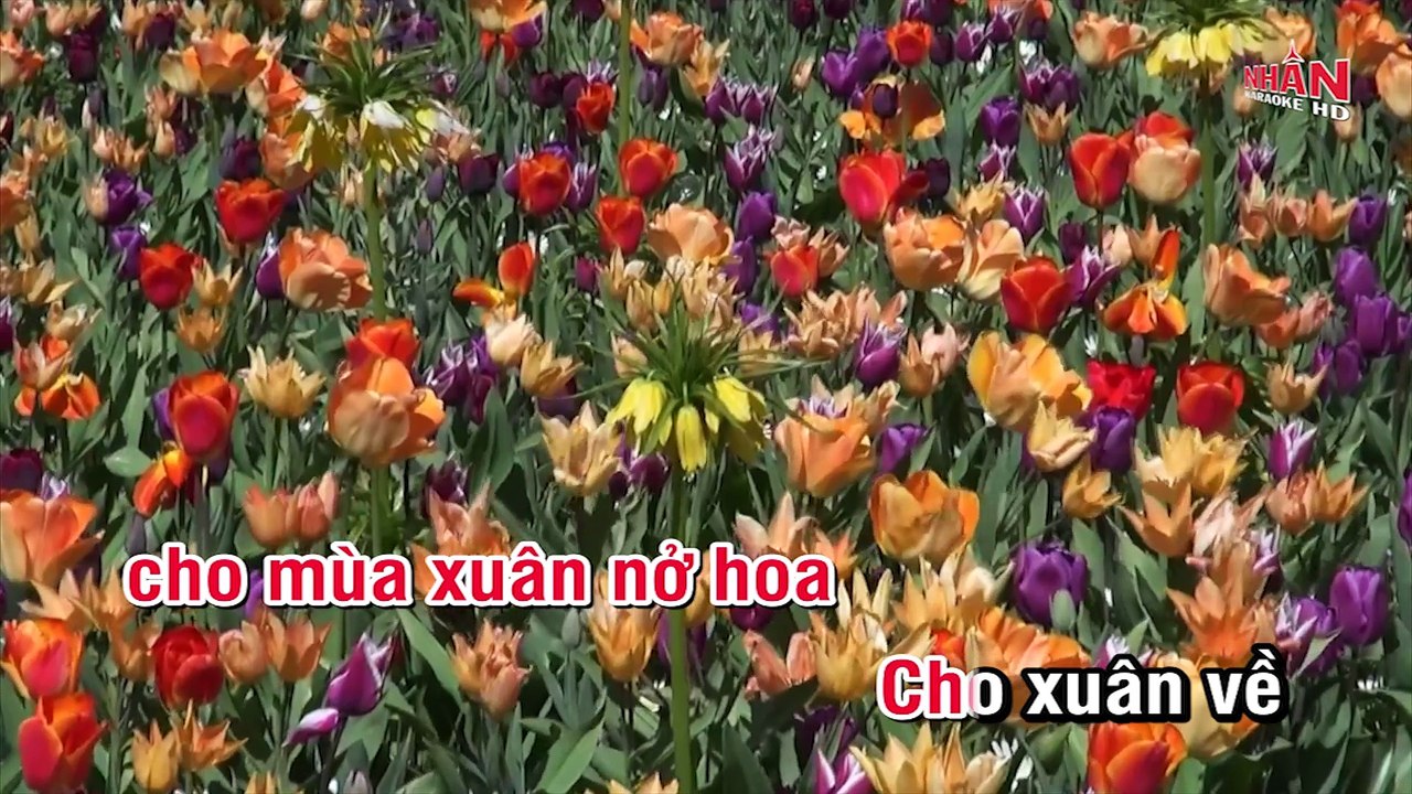 Đêm Giao Thừa Nghe Một Khúc Dân Ca (Karaoke Beat) - Tone Nữ