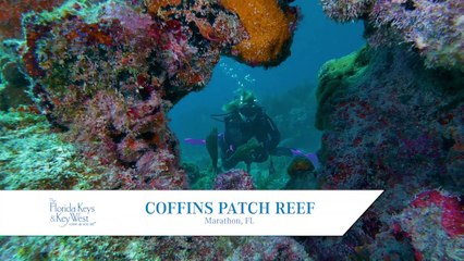 Explore The Florida Keys: Marathon