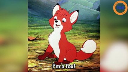 Orne : elle vivait depuis onze ans avec un renard apprivoisé, mais les autorités lui ont retiré l'animal