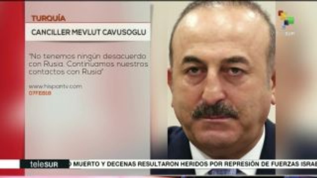 Turquía asegura que no tiene desacuerdos con Rusia por Afrín