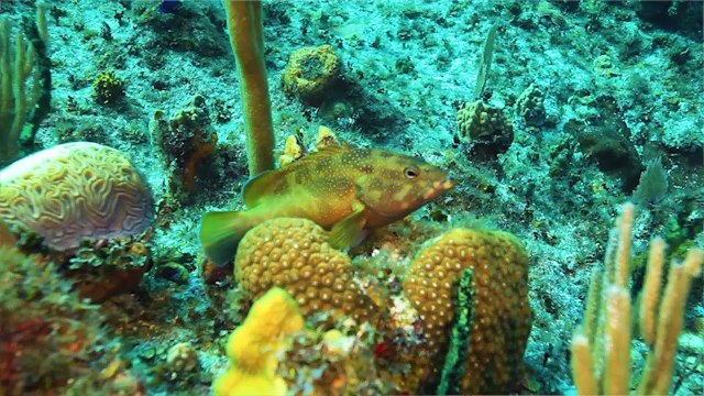 Explore The Florida Keys: Key West