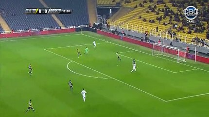 Boubacar Dialiba Goal HD - Fenerbahce 0-1 Giresunspor 07.02.2018