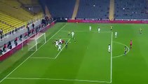 1-1 Samed Karakoç Amazing Goal HD - Fenerbahce vs Giresunspor - 07/02/2018 HD