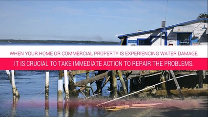 Water Damage Restoration Santa Cruz CA