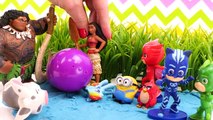 PJ Masks Catboy Owlette Gekko and Disney Moana Maui Pua open Mystery Toys. Videos for Kids Toddlers.