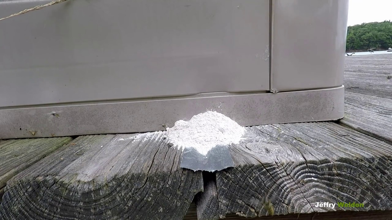 Il bouche l'entrée d'un nid de guêpes et les met très en colère!