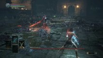 Abyss Watchers Twin Daggers No Damage Taken