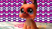 All of my LPS Great Danes!!!--{REQUESTED}