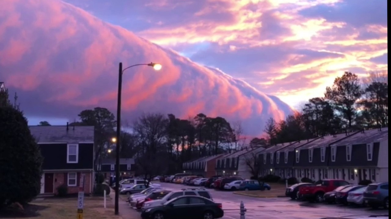 Nature with No Filter