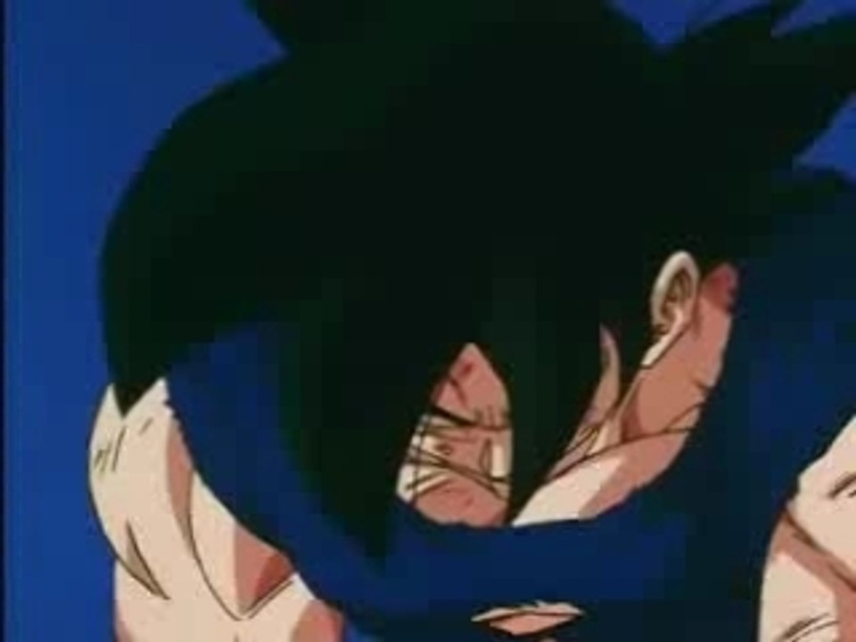 Historia dbz10