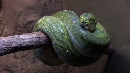 Oxford Discover Level 6 Big Question 8 What are We Afraid Of 1