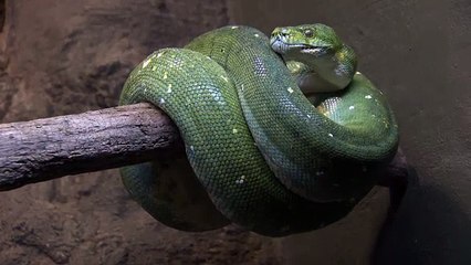 Oxford Discover Level 6 Big Question 8 What are We Afraid Of 2