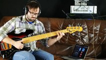 Fender Marcus Miller V Bass 5 | Aguilar AG 5J-HC pickups | angeldust-guitars.com