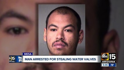 Man steals pricey prevention values that protect drinking water