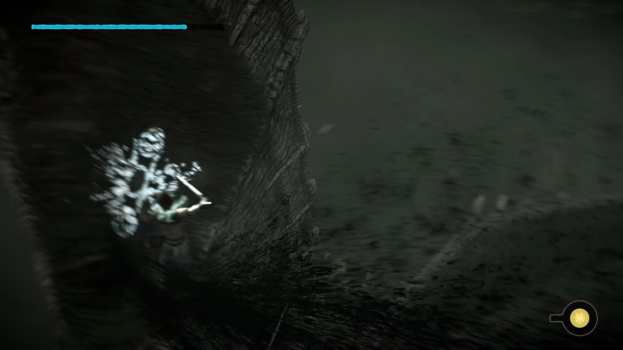 SHADOW OF THE COLOSSUS