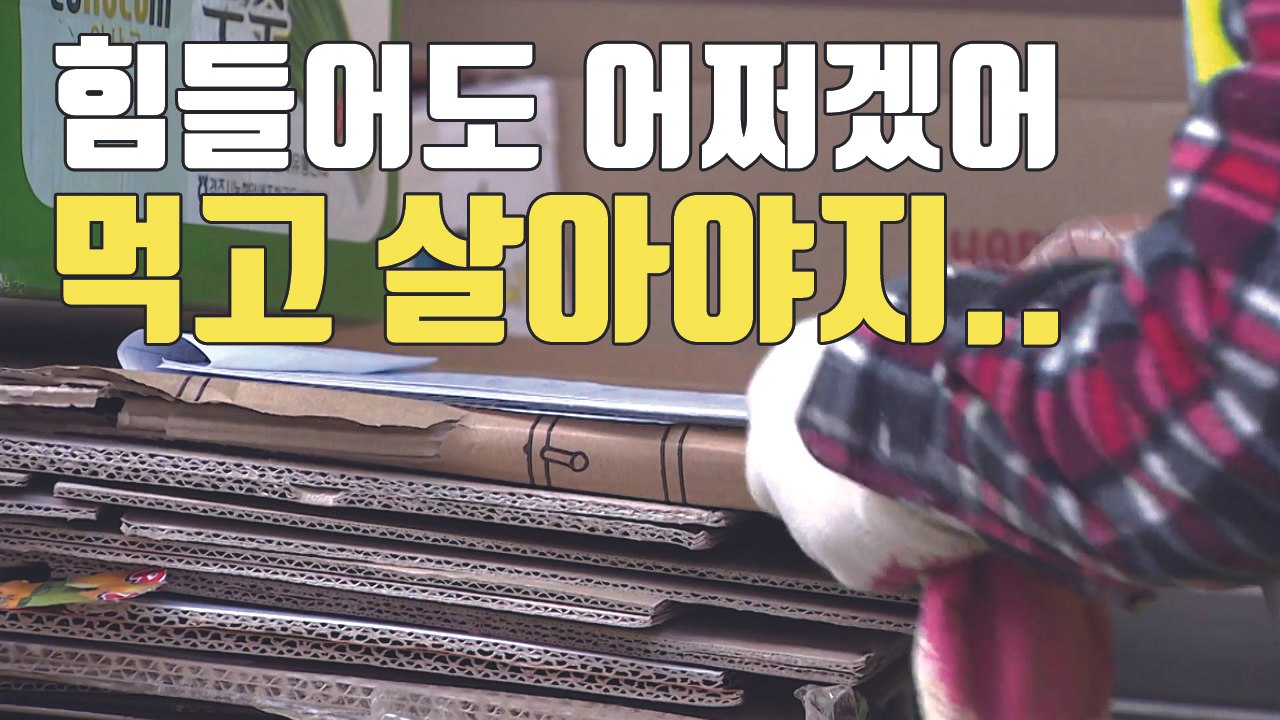 [자막뉴스] "고생해도 살아야지..." 한파 속 폐지 줍는 노인들 / YTN