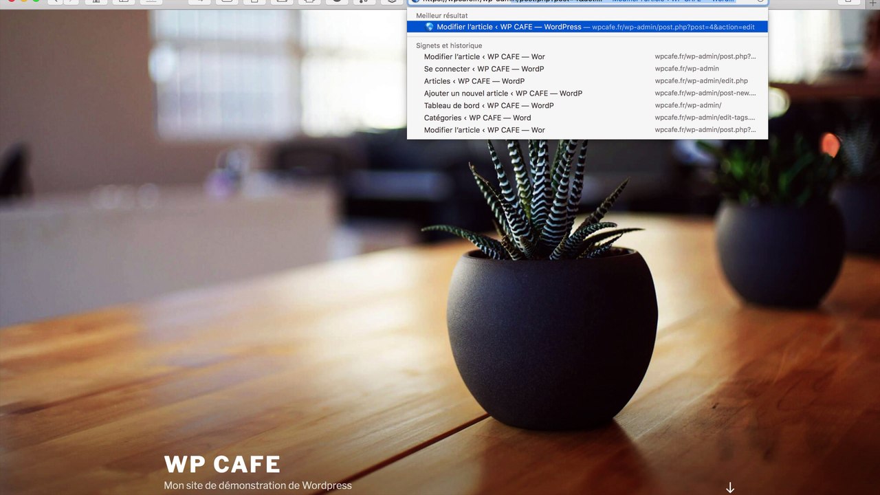 10 Les Catégories et les Etiquettes sous WordPress