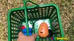 Learning for Toddlers Mr Potato Head Toy Hunt Outdoor Learn Body Part Names for Kids ABC Surprises