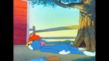 My - Cartoons For Kids Tom and Jerry - Ep. 64 - The Duck Doctor (1952) | Jerry Game  Ep. 50
