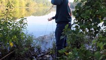 Build a fish trap and catch catfish bait - four leaf clover fish trap for blue gill and bream