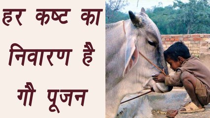 गौ पूजन  | Gau Pujan | Spiritual Benefits |  हर कष्ट का निवारण है गौ पूजन | Boldsky