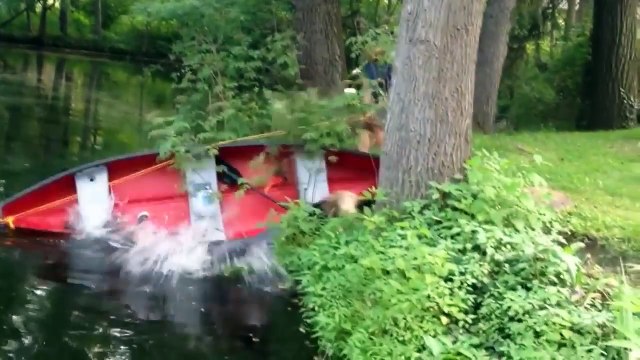 Funny Videos Funny Fails Stupid People Doing Stupid Things