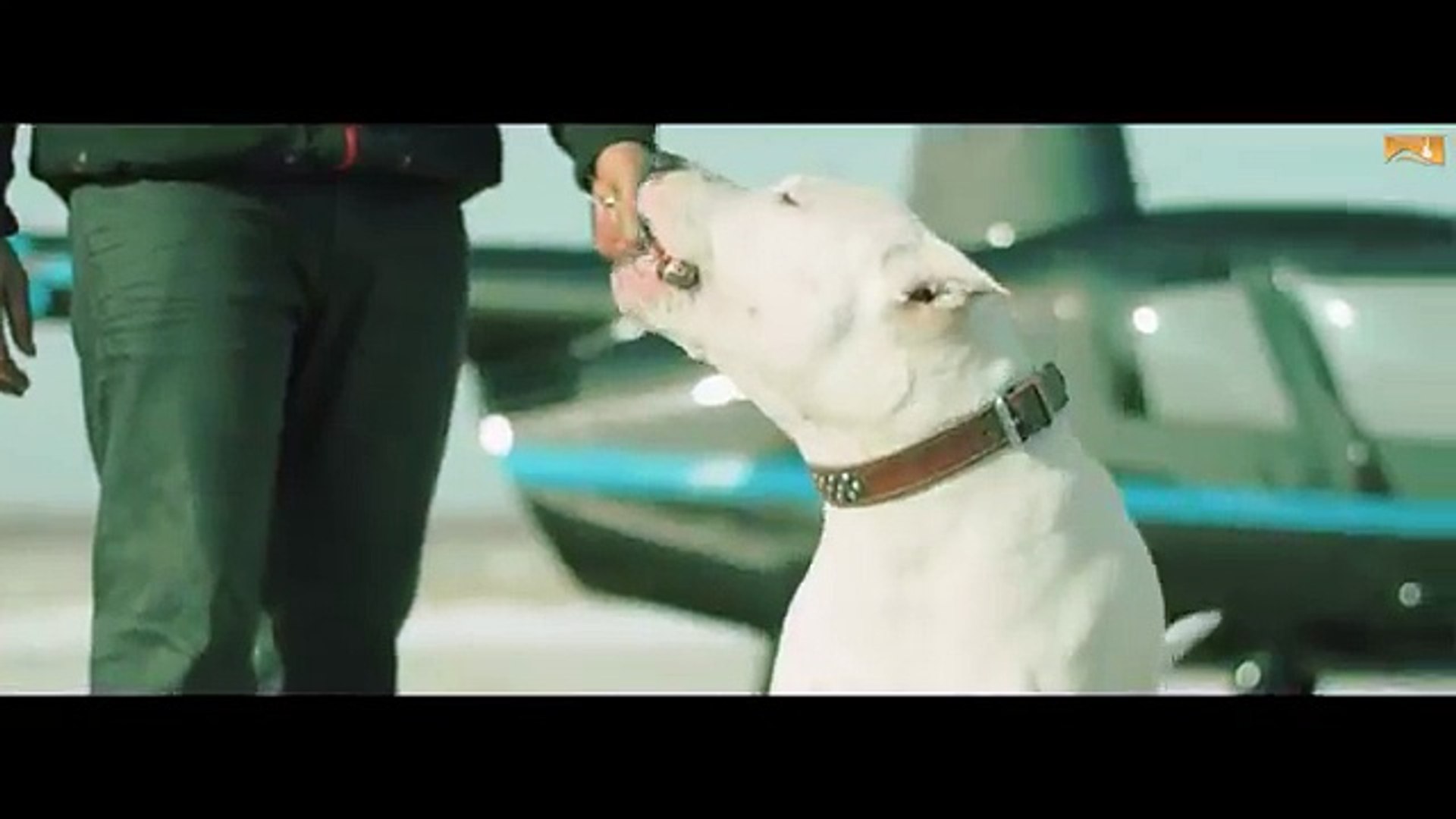 Challenge (Full Video) Ninja  Sidhu Moose Wala, Byg Byrd