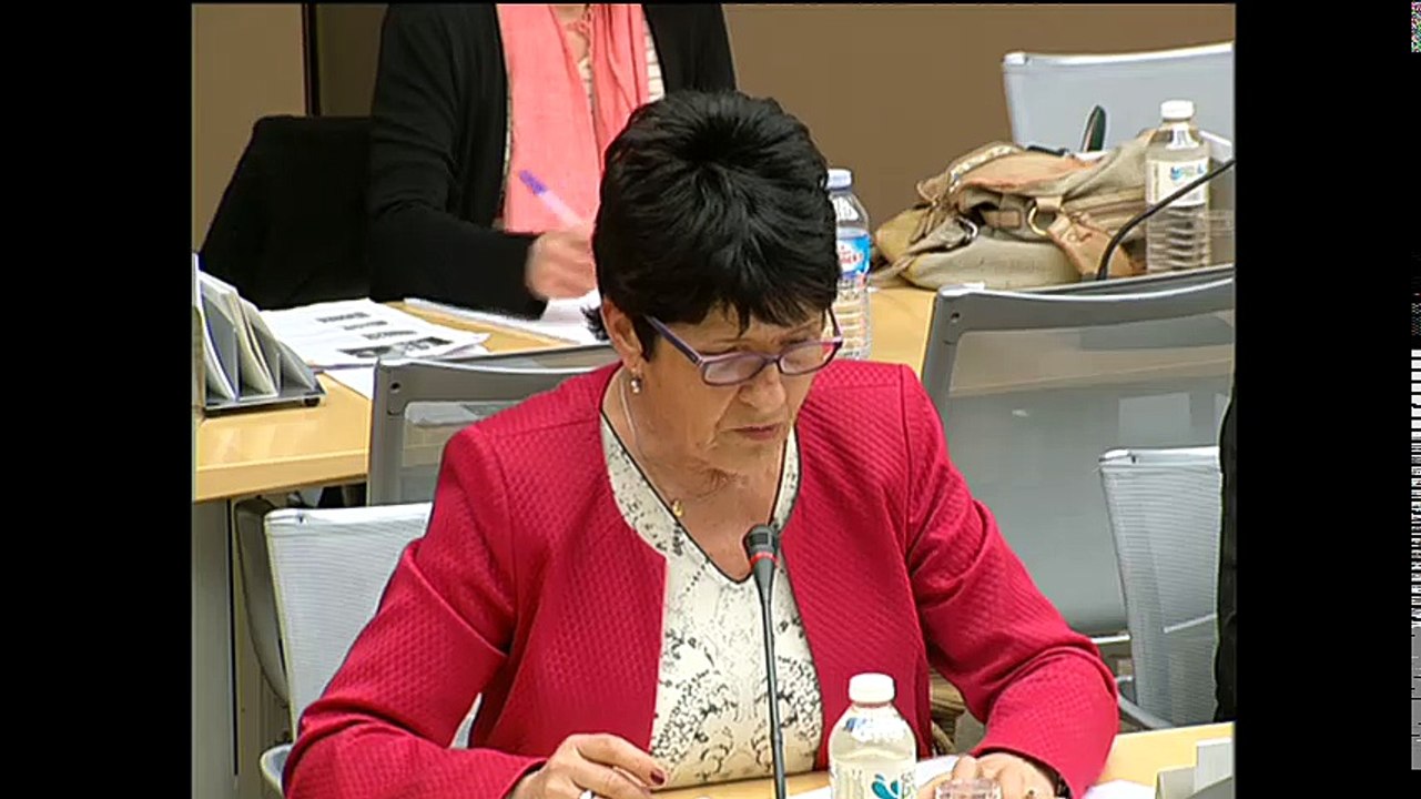 Conditions d'abattage des animaux de boucherie : M. Patrick Dehaumont, Dg de l'alimentation ; table ronde avec des syndicats d'abattoirs - Mercredi 4 mai 2016