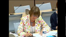 Commission des affaires économiques : Mme Muriel Pénicaud, dg de Business France ; Table ronde réunissant des PME exportatrices - Mardi 5 juillet 2016