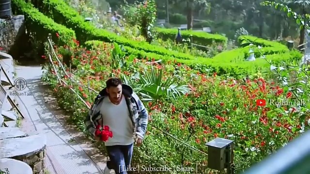 7 Feb Rose Propose Day Special Valentines Day Special WhatsApp Status Video True Love Propose