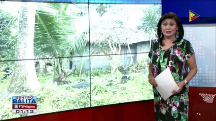 Banta ng bulkang Mayon, nananatili