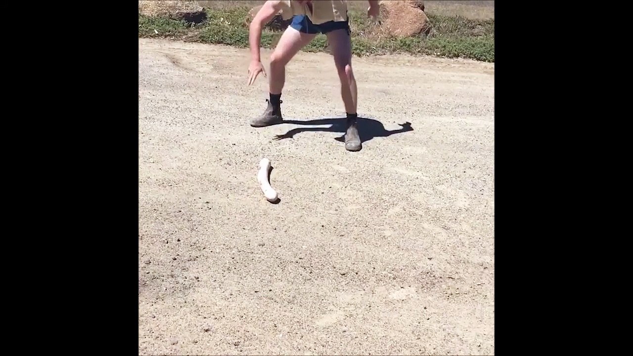 Quand tu croises un énorme serpent en pleine route.. Ahaha