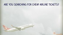 How to search a Flight From Dubai To Alexandria Egypt?