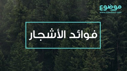 فوائد الأشجار