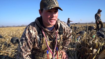 Duck Hunting in Corn Field