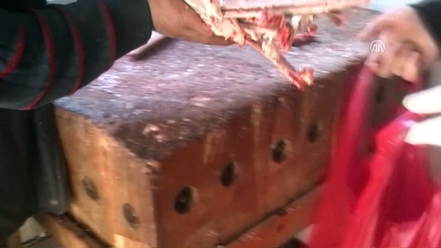 Muşlu gençler, yaban hayvanları için doğaya yem bıraktı