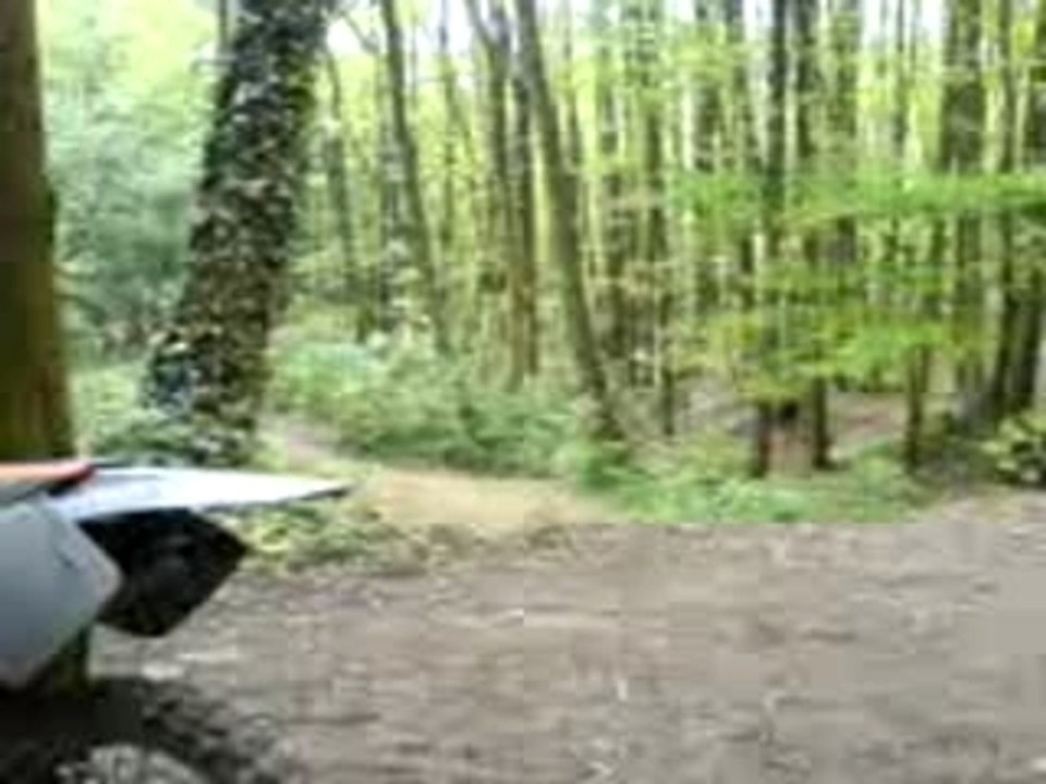 Saut moruch1