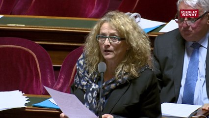 Université : « Une orientation choisie favorise un parcours plus réussi qu’une orientation subie », déclare Françoise Laborde