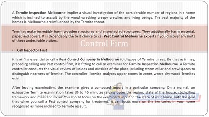Ask for Termite Inspection before calling a Pest Control Firm